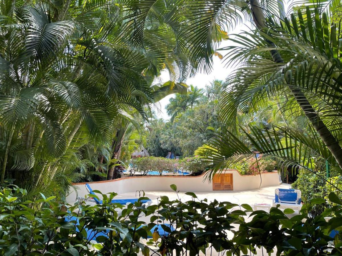 The Best Of Marbella Puerto Vallarta Exterior foto